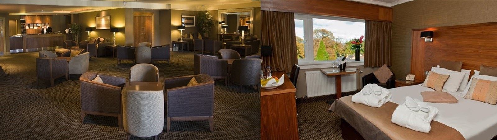 Best Western Park Hotel, Falkirk|Hotels in Falkirk
