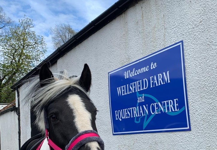 Wellsfield Farm Activity Centre horse riding
