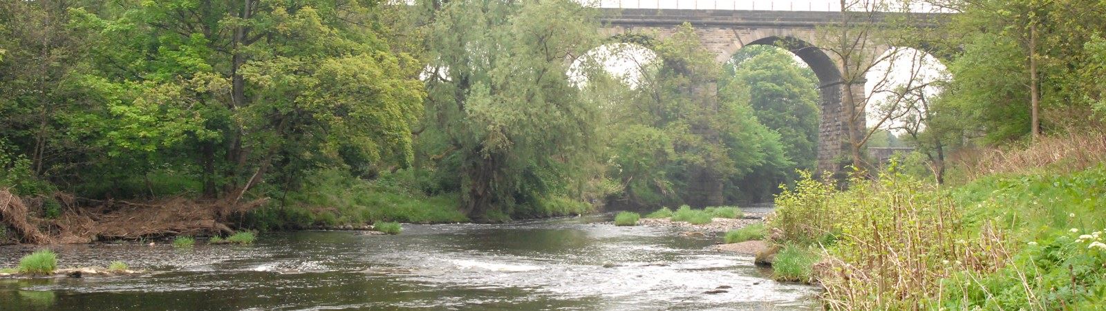 Larbert Viaduct, River Carron